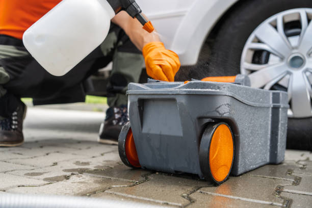 Best Tree Maintenance Programs  in Camp Swift, TX